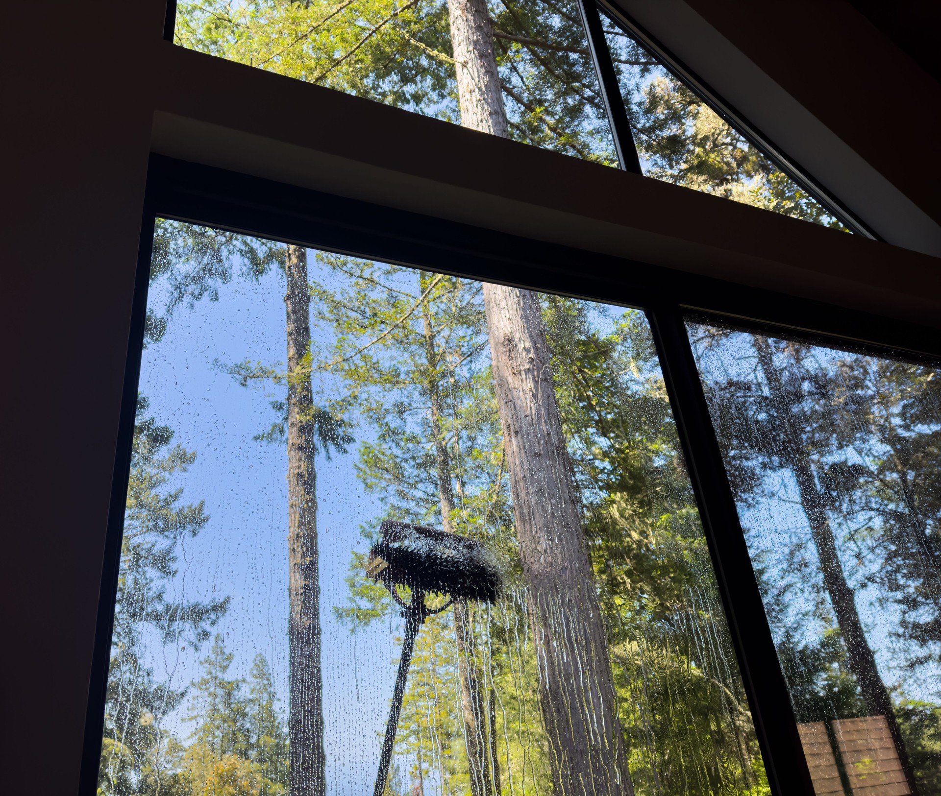 Window washing with brush and water